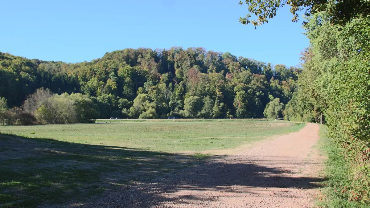 Westlich der Kläranlage des Abwasserverbands Mittleres Wiesental soll eine Heizzentrale gebaut werden.