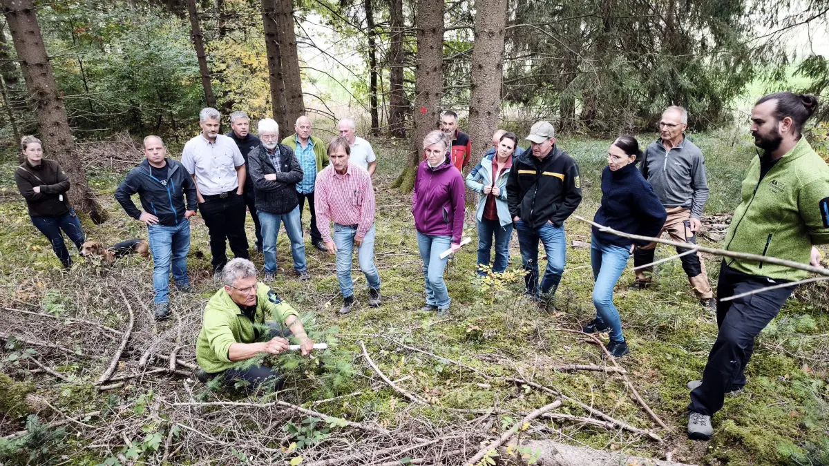 Der Gemeinderat Bitz beim Waldbegang. Revierförster Wolfgang Bitzer erläutert die Hintergründe.