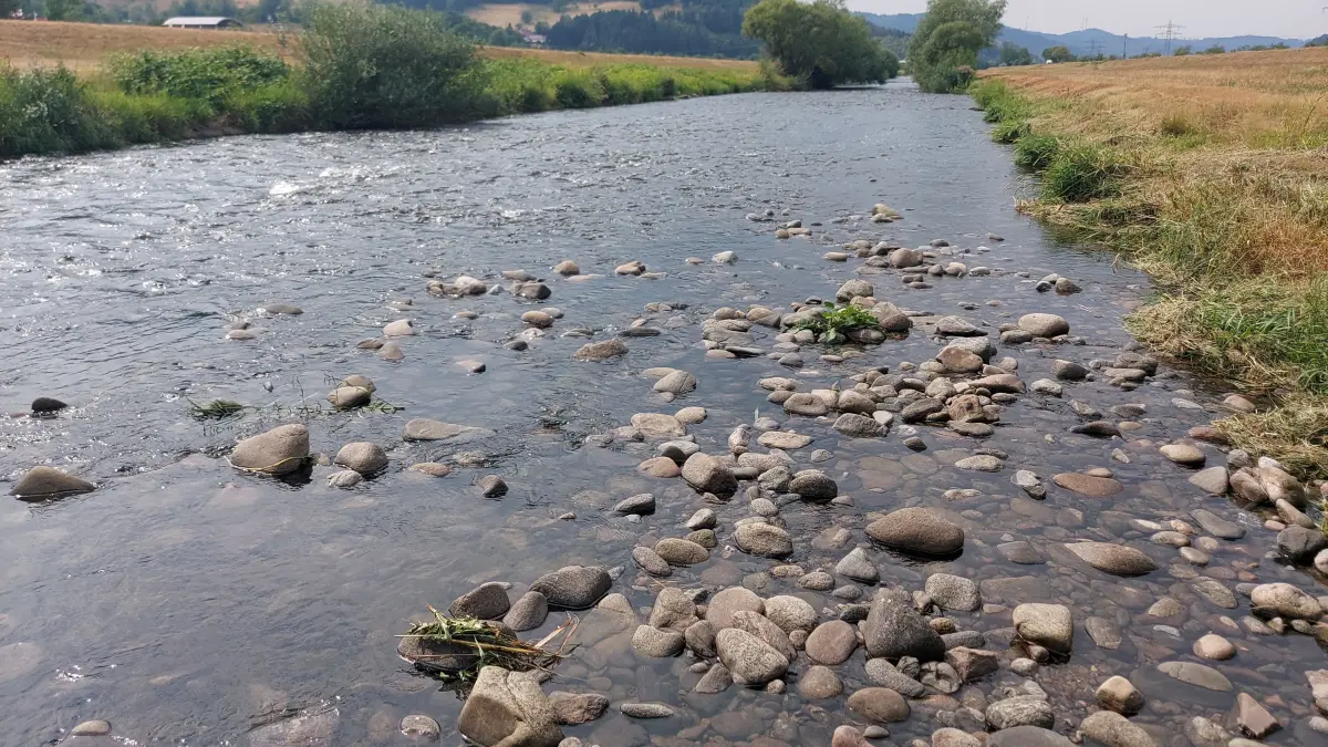 Im Sommer führte die Kinzig extrem wenig Wasser. Und auch jetzt haben sich die Pegelstände trotz Regen noch nicht erholt.
