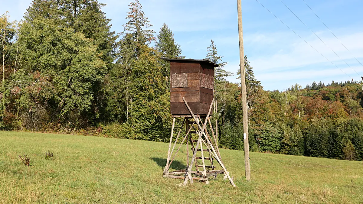 Von diesem Hochstand hat man den Waldrand oberhalb von Haagen gut im Blick. Die Situation in den Lörracher Jagdrevieren war Thema im Ortschaftsrat Haagen.
