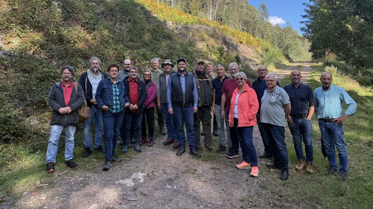 Stadtverwaltung und Gemeinderat informieren sich über den Zustand im Bad Wildbader Stadtwald