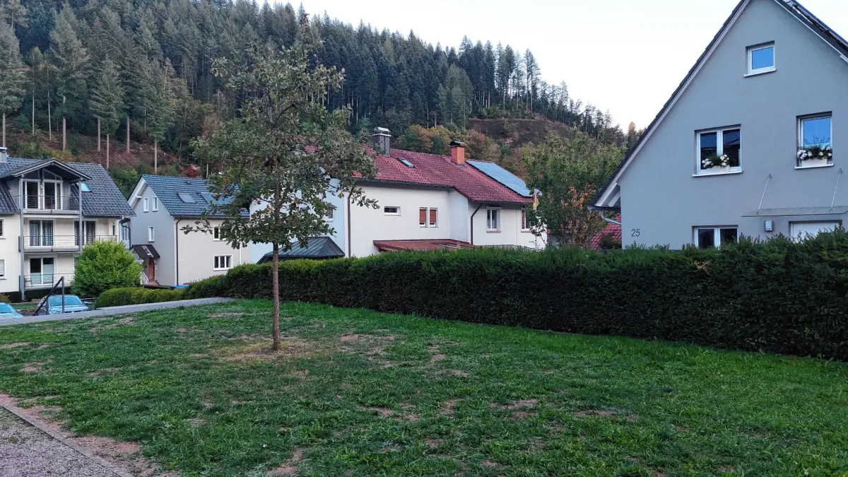 Die Narren hätten die kleine Grünfläche neben der Festhalle gern befestigt.