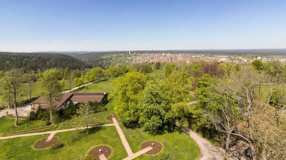 Der Premium-Wanderweg Tannenriesen Freudenstadt