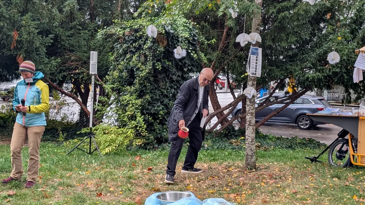 In Villingen steht eine Friedenslinde. Sie wurde vor zehn Jahren in den Anlagen im Benediktinerring auf der Höhe des Außenbereichs des Kindergartens Maria Frieden gepflanzt.