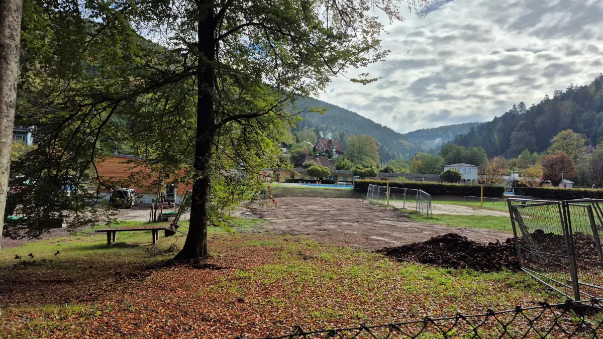 Das Waldfreibad soll 2027 seine Pforten wieder öffnen.