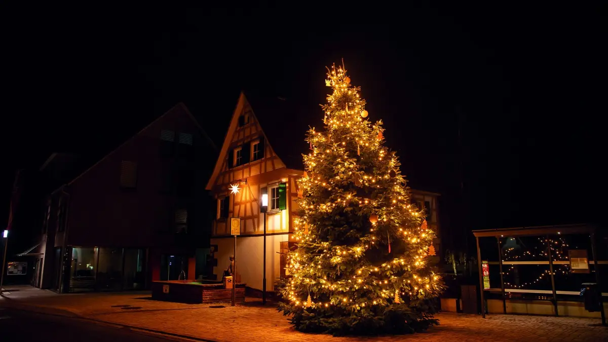 Das Bild zeigt den Baum in Schönbronn.