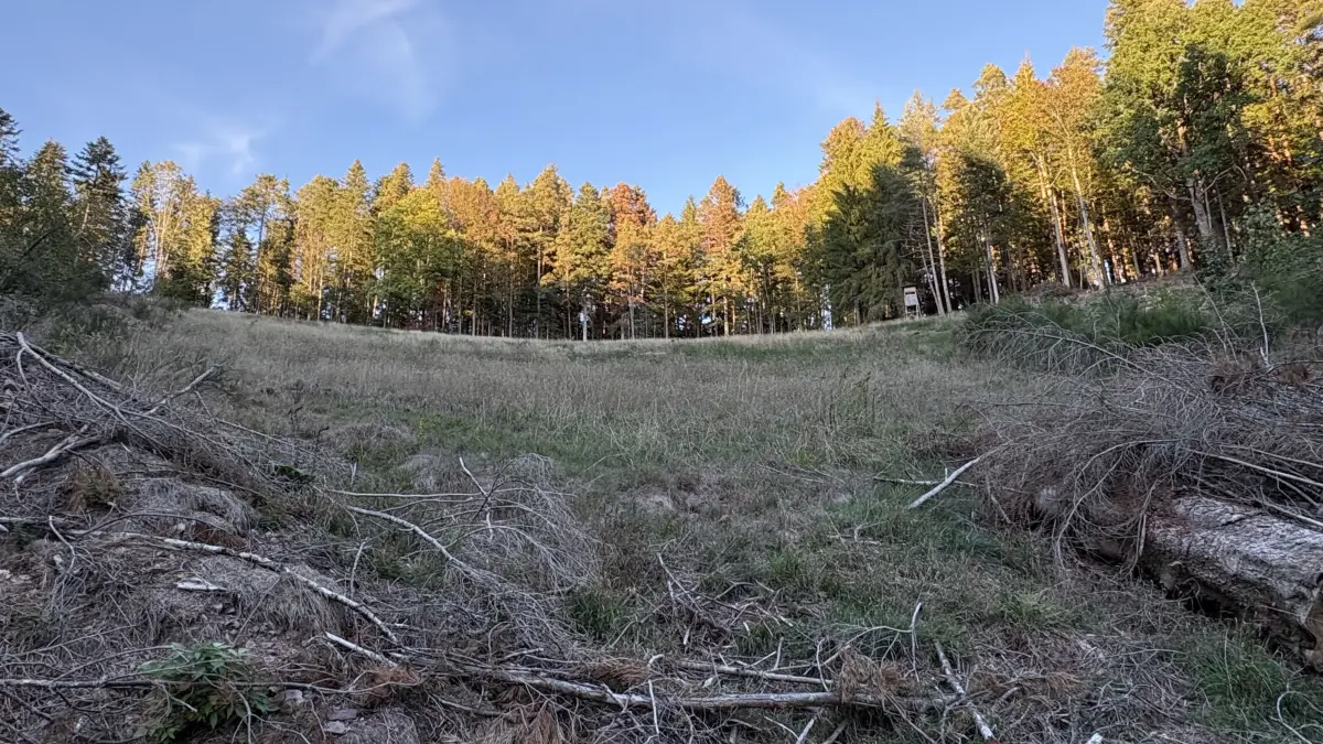 Für die PV-Freiflächenanlage Tannenäckerle gab es einige Änderungswünsche.