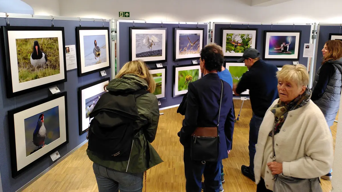 In zwei Tagen annähernd 400 Besucher: Die jüngsten Arbeiten der Fotofreunde, ausgestellt im Johannessaal der Klosterkirche Stetten, sind auf großes Interesse gestoßen.