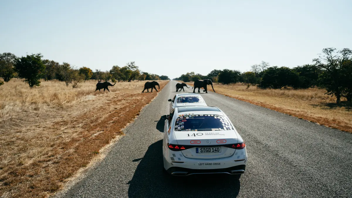 Elefanten haben im afrikanischen Straßenverkehr Vorrang. Eine Erfahrung, die der Mercedes Konvoi in Tansania und Botswana gemacht hat.