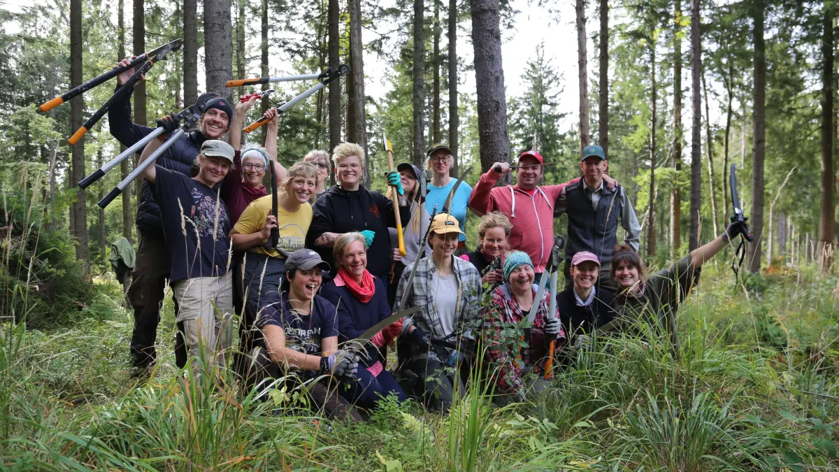 V