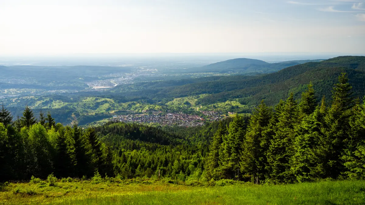 Sattes Grün erstreckt sich, soweit das Auge reicht.