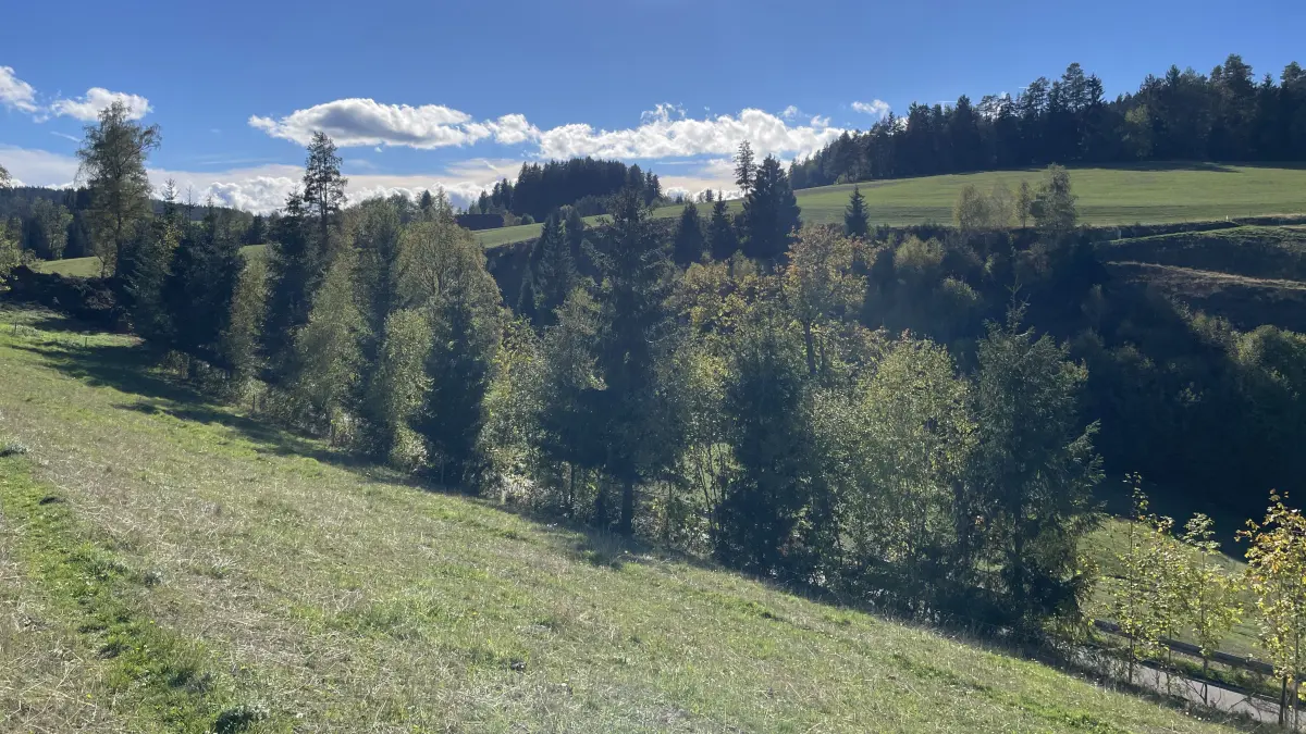 Dritter Anlauf in der Langenschiltacher Vogte: Im Bereich des Hangs an der Straße Im Tal, die jenseits der Baumreihe liegt, soll laut Planung ein Batteriespeicher entstehen.