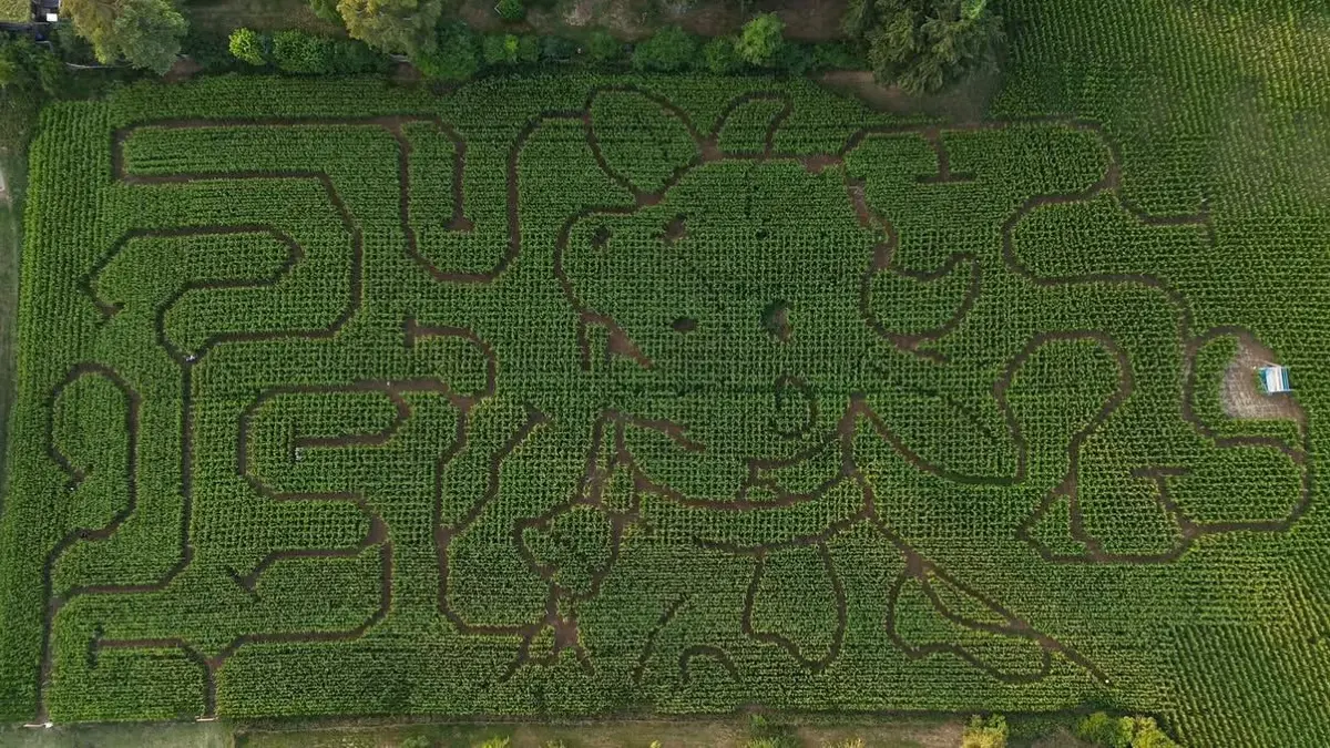 gggg