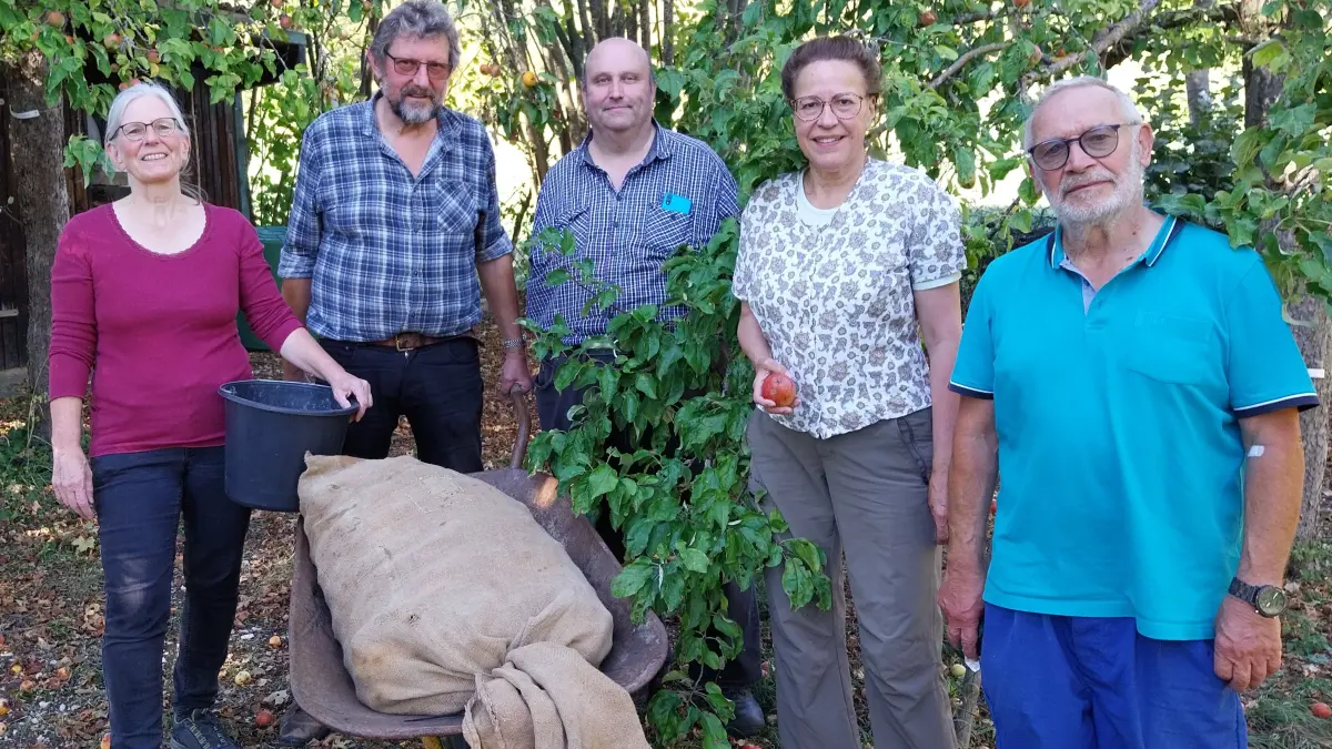 Ernteaktion auf dem Gelände des Obst- und Gartenbauvereins Ebingen: Die Vereinsmitglieder haben jüngst selbst Hand angelegt.