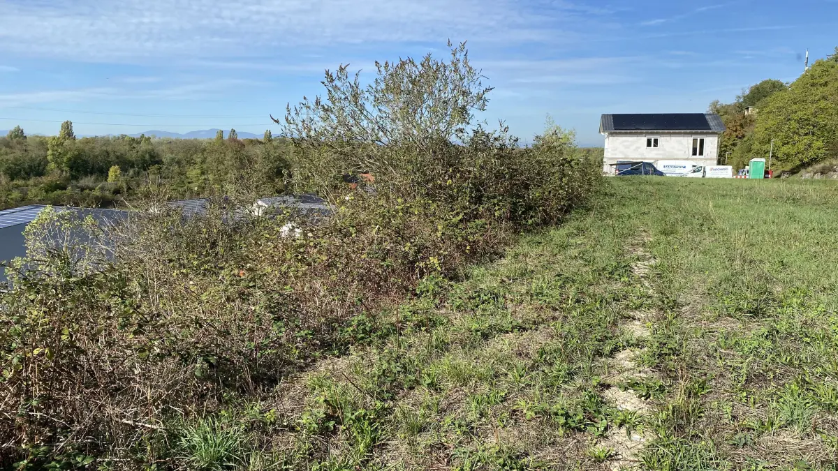 Nur ein Haus steht bisher auf den Grundstücken oberhalb des teils aufgeschütteten Steilhangs an der Alten Weinstraße - die Grundstücke verkaufen sich bisher nicht.
