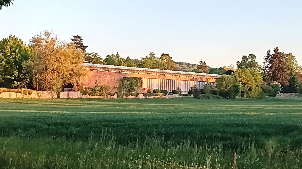 Die Fondation Beyeler in Riehen zeigt ab Sonntag Werke von Ruth Asawa.