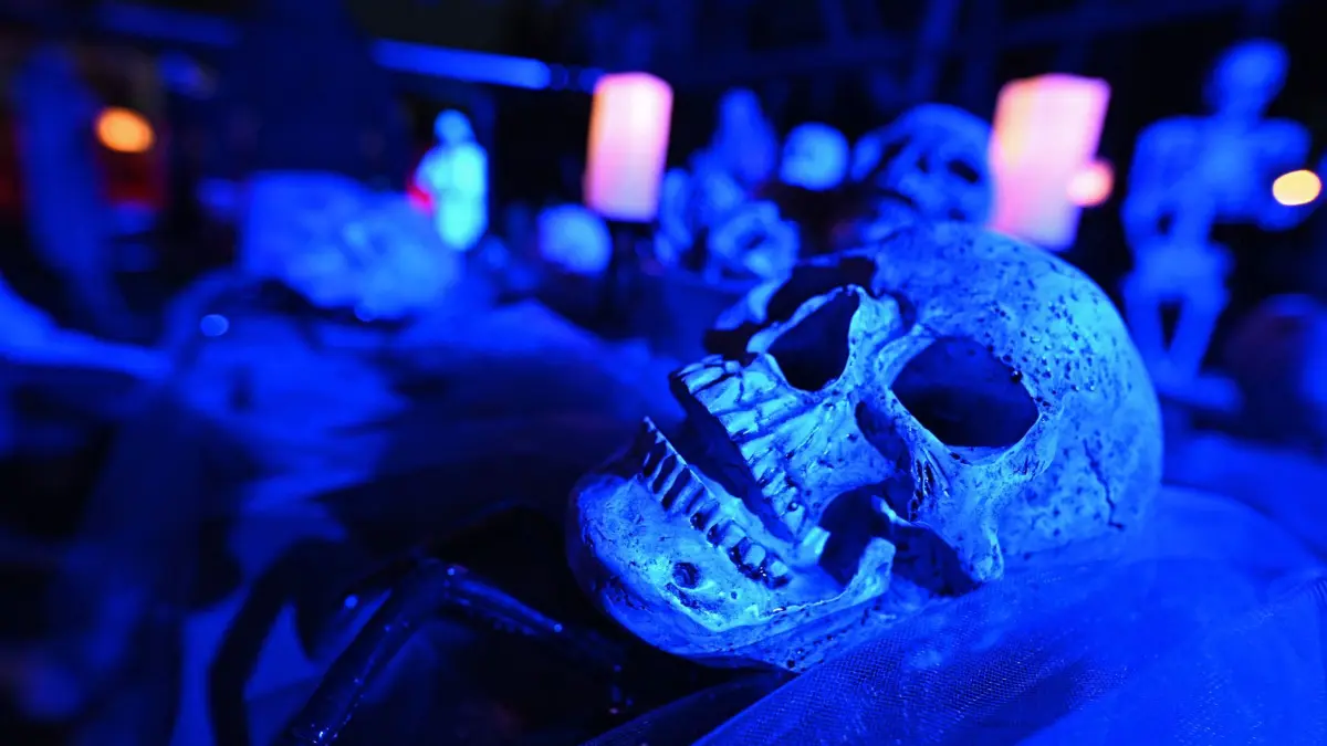 Halloween-Haus in Frankfurt: 17.10.2026, Hessen, Frankfurt: Ein Schädel liegt auf einem Tisch im „Halloween-Haus“ in Frankfurt Fechenheim. Die Vorbereitungen für die Installation in und um das Haus beginnen Monate vor Halloween. Foto: Jennifer Brückner/dpa +++ dpa-Bildfunk +++