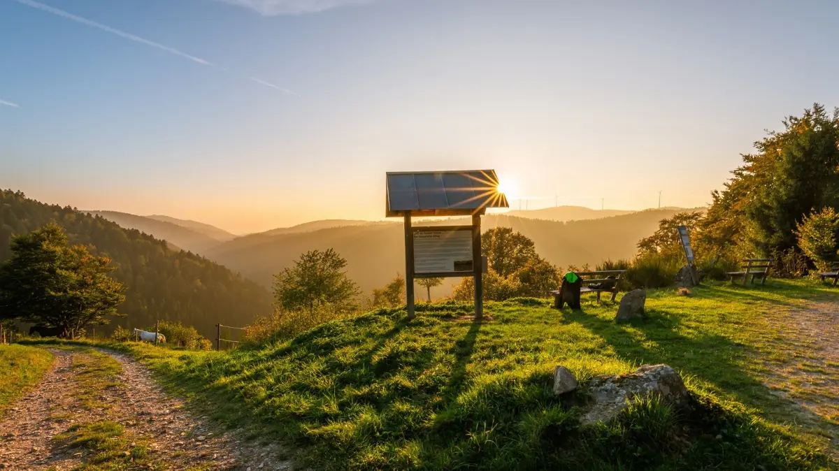 Der Rheintalblick begeistert mit seinem weiten Panorama.