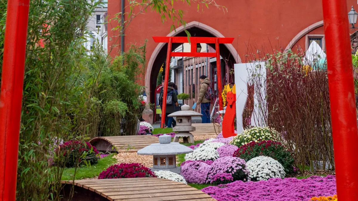 Die Gestaltung auf dem Urteilsplatz erinnert an den asiatischen Ursprung der Chrysantheme.