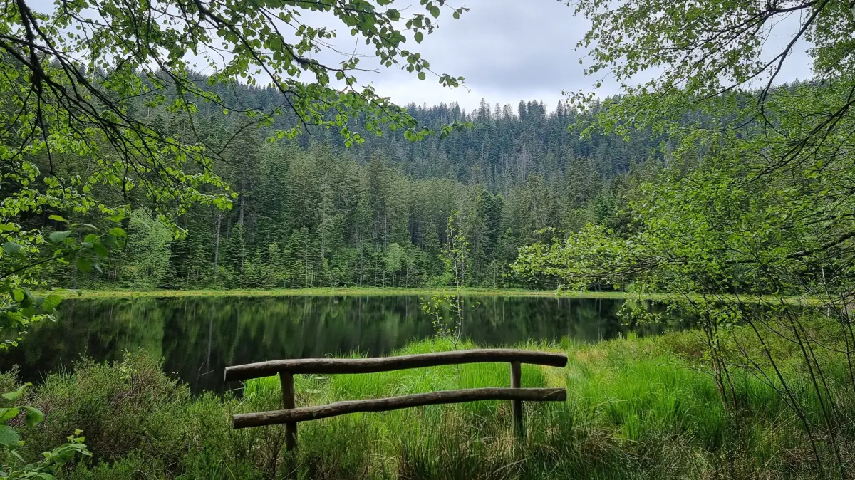 Der Schurmsee bei Forbach ist ein anziehender Karsee.
