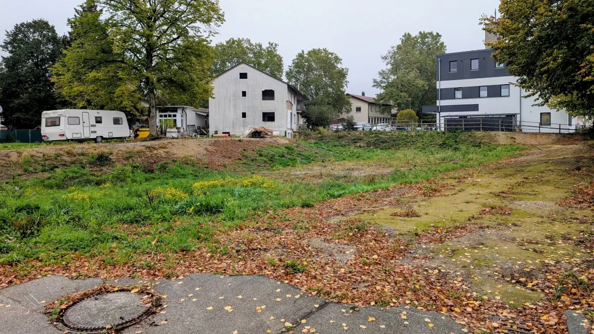 Auf dem Areal, auf dem einst die Kippenheimer Festhalle stand, sollen Wohnungen entstehen. Doch die Gemeinde finden keinen Investor.