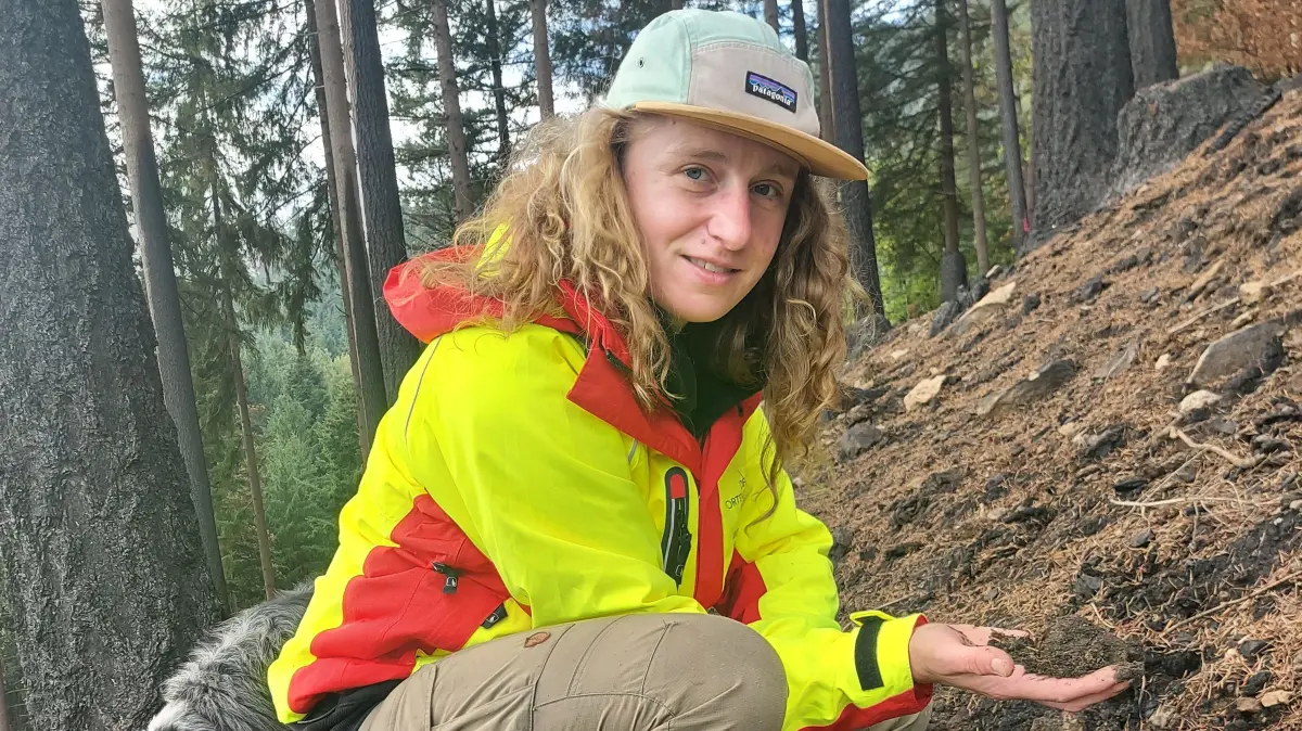 Försterin Rebecca Belle zeigt die unterschiedlichen Bodenschichten. Die oberste ist schwarz und aschig, darunter findet sich normale Erde. Doch manchmal ist darunter auch eine weitere verkohlte Schicht zu finden. der Grund: Das Feuer arbeitet sich auf den Wurzeln als Leitungsbahnen nach unten.