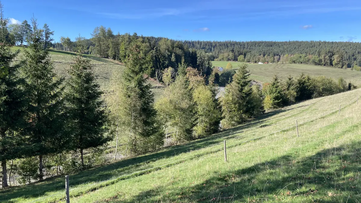Dritter Anlauf in der Langenschiltacher Vogte: Im Bereich des Hangs an der Straße Im Tal, die jenseits der Baumreihe liegt, soll laut Planung ein Batteriespeicher entstehen.