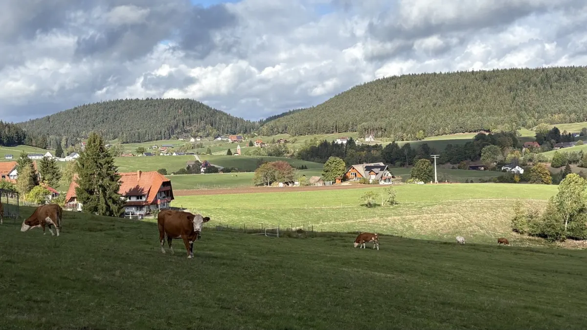 Mit einer höheren Kurtaxe werden einige Vorhaben finanziert.