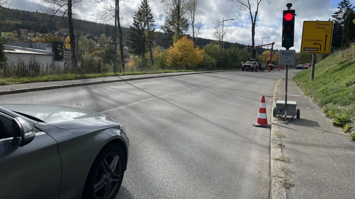 Für Autofahrer heißt es: warten an der roten Ampel. Der Verkehr wird einspurig geführt, damit die Arbeiter Platz zum Fällen haben.