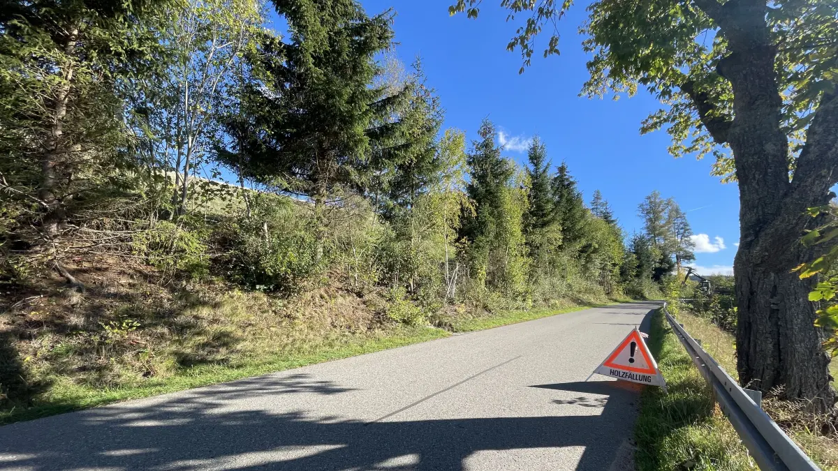 Am Hang, der jenseits der Baumreihe an der Straße Im Tal liegt, ist der Batteriespeicher geplant. Die Stadtverwaltung stellte sich dagegen, der Ortschaftsrat Langenschiltach war dafür – und am Mittwoch entschied der Gemeinderat.