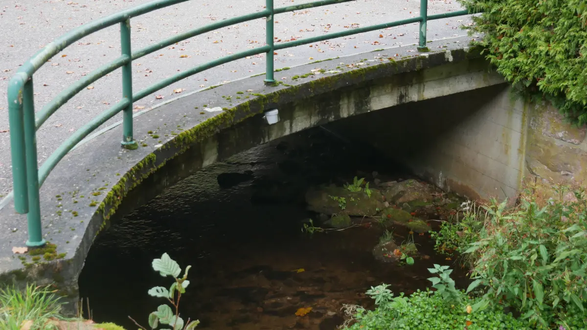 energieautarker Sensor zur Radar-Überwachung des Wasserstands des Kaltbrunner Bachs an der Brücke beim Bühlhof, das etwa joghurtbechergroße Gerät verfügt über eine Batterie mit einer Lebensdauer von bis zu sechs Jahren und misst alle vier Stunden per Radar den „Füllstand“ im Bachlauf.