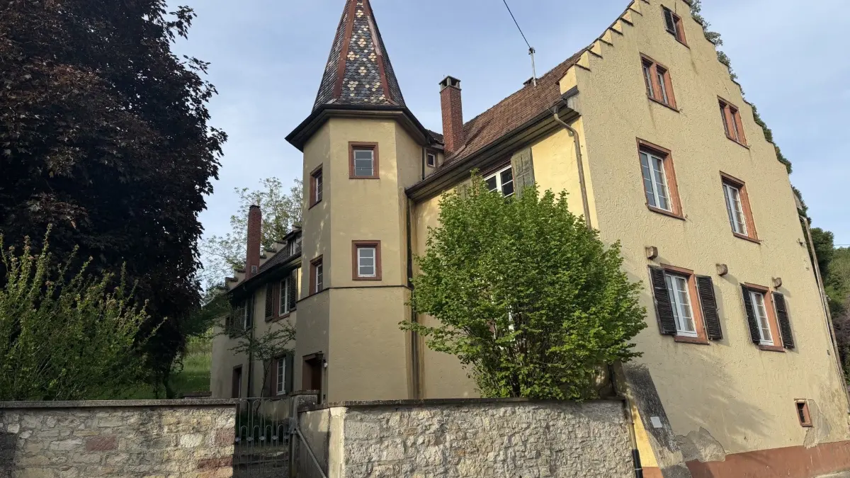 Das Isteiner Schlössle mit seinem Areal soll Bauplätze schaffen