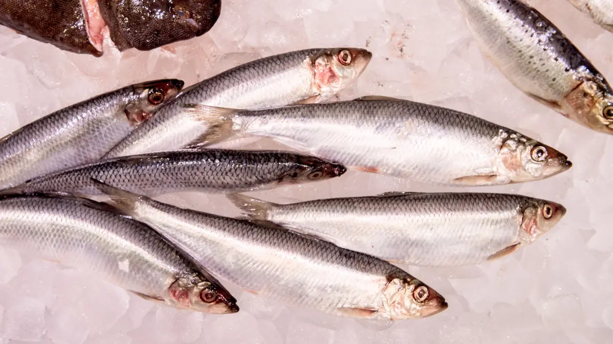 Lediglich 27 Prozent der untersuchten Fischprodukte in deutschen Supermärkten schnitten als empfehlenswert ab.