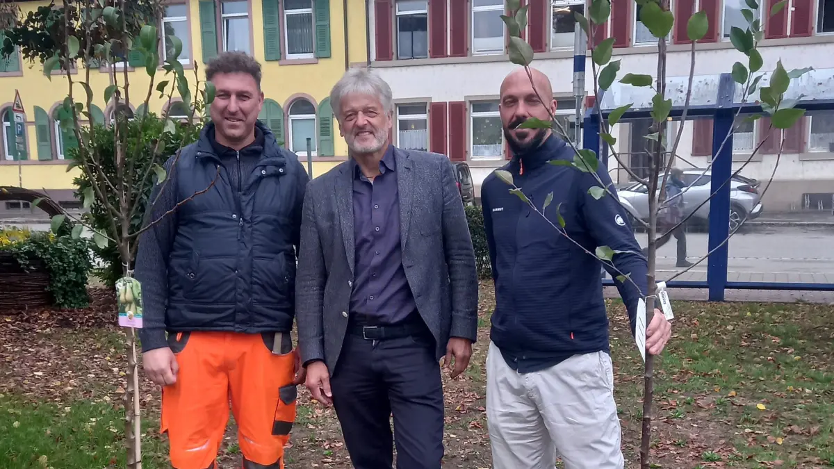 Die Gemeinde Steinen organisiert eine Baumpflanzaktion.