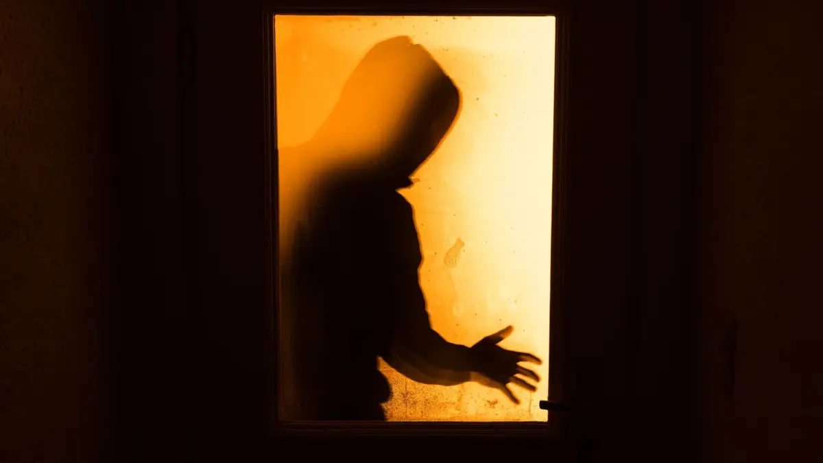 Symbolfoto - Einbrüche: ARCHIV - 19.01.2016, Bayern, Aufseß: ARCHIV - ILLUSTRATION - 19.01.2016, Bayern, Aufseß: Der Schatten eines Mannes ist hinter einer gläsernen Wohnungstür zu sehen. (zu dpa: «Hessen verstärkt Kampf gegen Einbrecher») Foto: Nicolas Armer/dpa +++ dpa-Bildfunk +++
