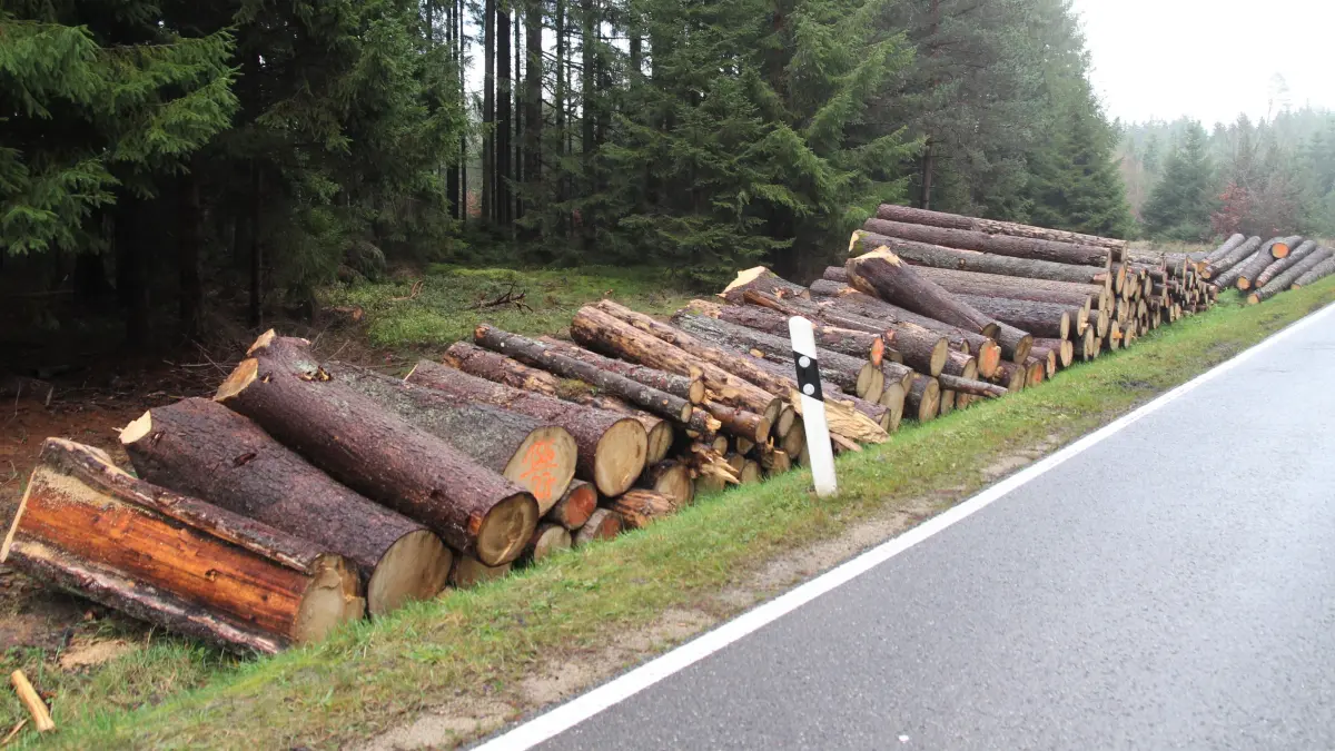 Das in den Bräunlinger Wäldern geschlagene und aufgearbeitete Holz ist eine gute Einnahmequelle für die Stadt.