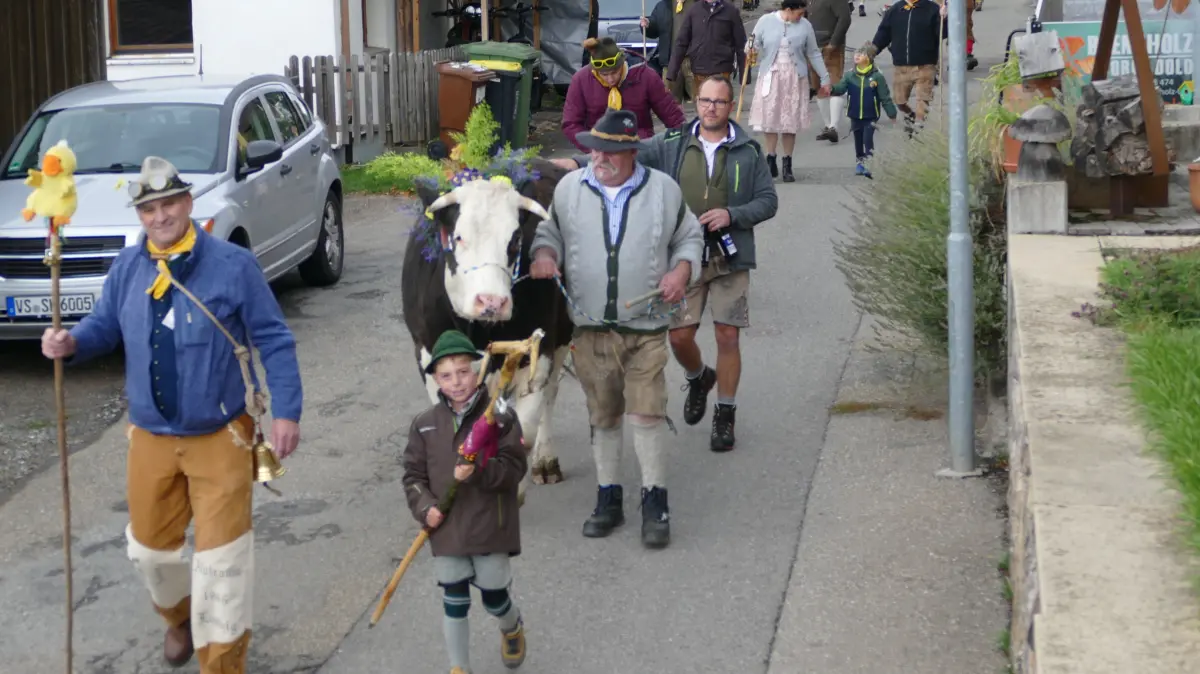 Munteres Treiben in alpenländischer Tracht. Die Vorstadtbuben auf ihrem Weg vom Ottilienberg ins Tal. Voraus laufen Horst Kritzer und seine geschmückte Kuh Alma.