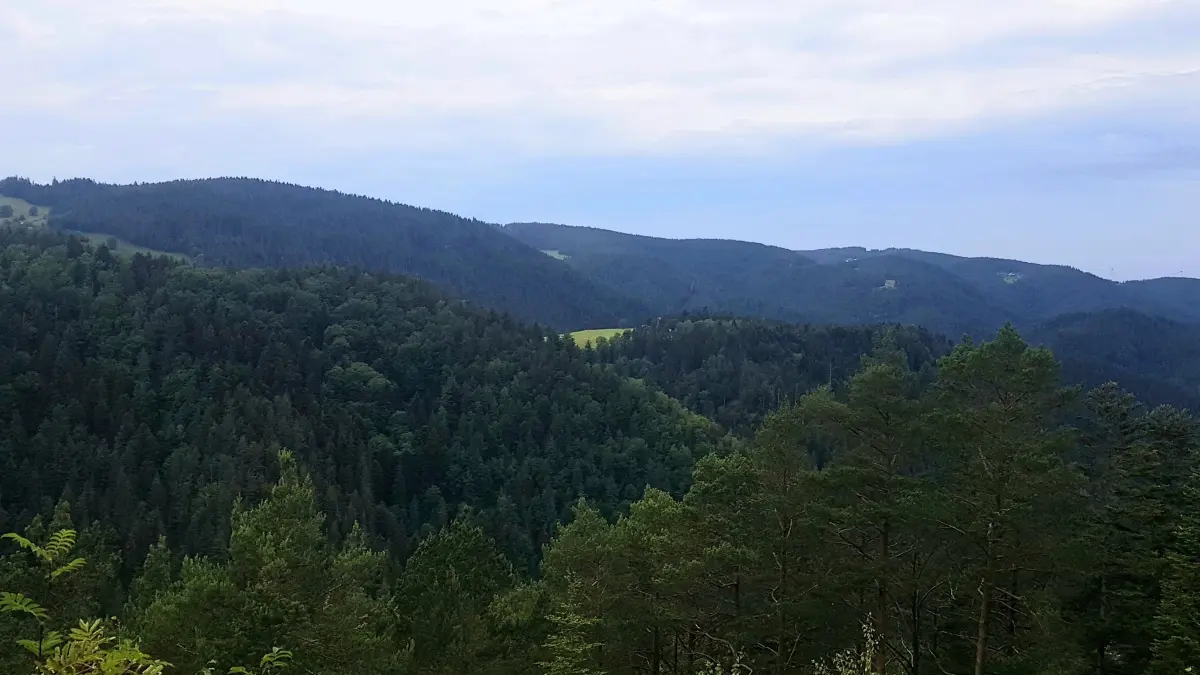 Schwarzwaldhöhen: Das Mittelgebirge auf der direktesten Linie zu durchqueren – Michael Hoyer und Ulrich Merz nahmen dieses Abenteuer in Angriff. (Archivfoto)