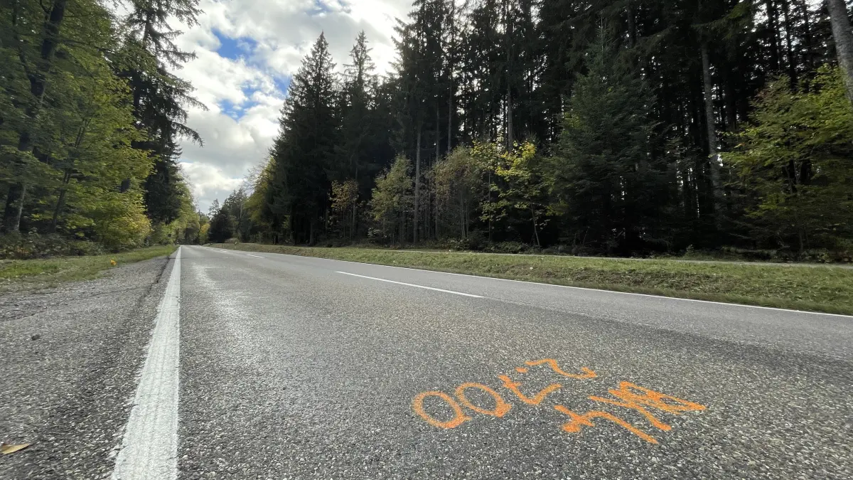 Grund zur Hoffnung? Die Schramberger Straße zwischen dem St. Georgener Ortsausgang und der Hiesemicheleshöhe rückt in den Fokus.