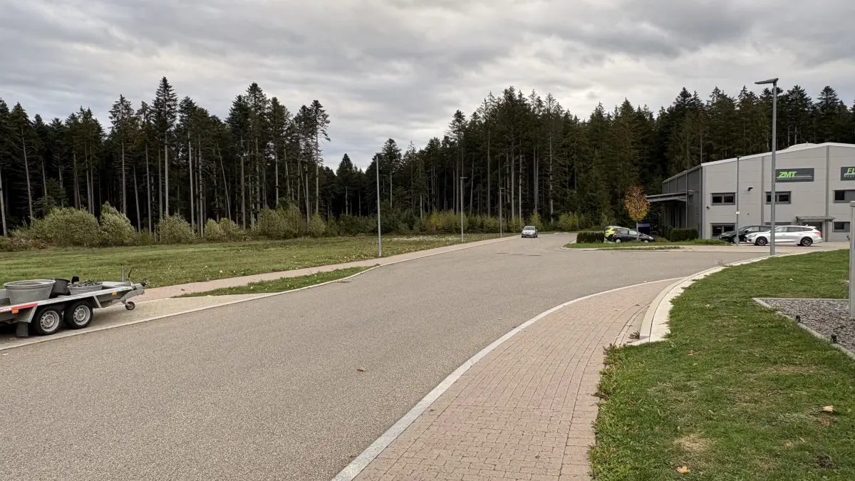 Die Fläche des öffentlichen Waldes in Hardt ist zurückgegangen, da für das neue Gewerbegebiet Flächen gerodet wurden.