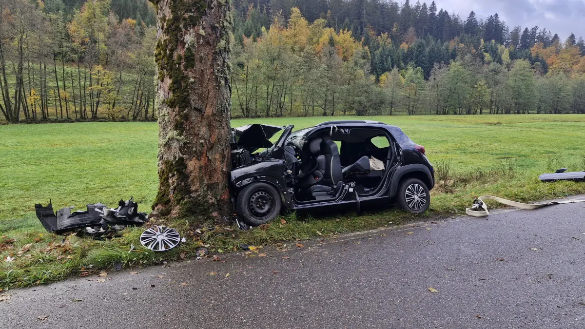 Das Auto ist frontal gegen einen Baum geknallt.