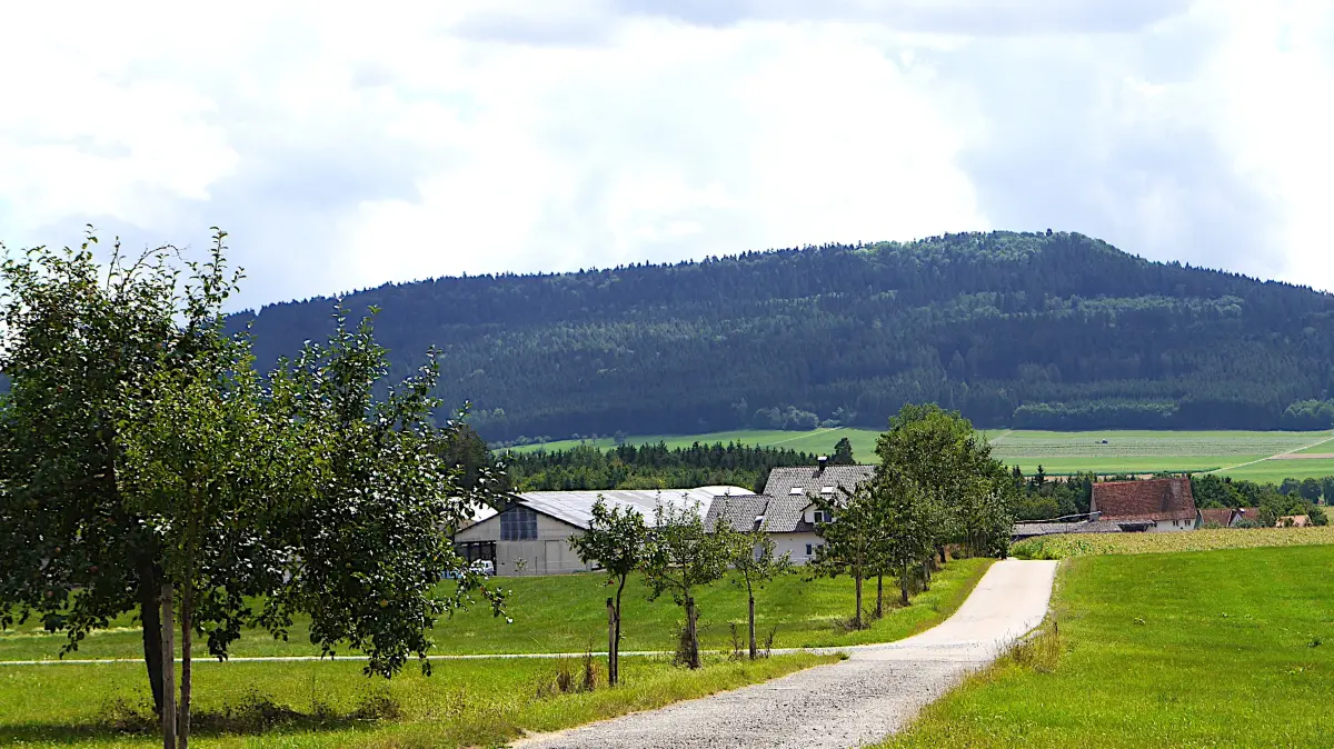 Der Jubiläumsweg Schura bietet gleich vom Start beim Friedhof in Richtung Ziegelhütte Ausblicke auf den Lupfen und ins südliche Schönbachtal.