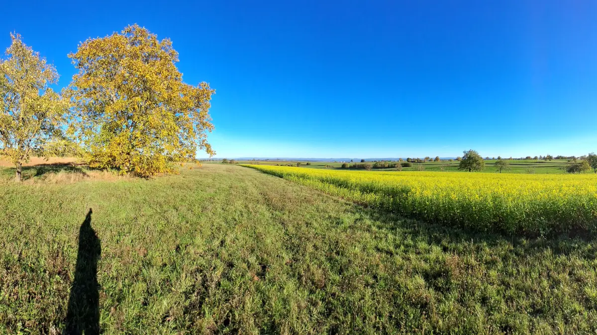 Flurneuordnungsverfahren in Mötzingen
