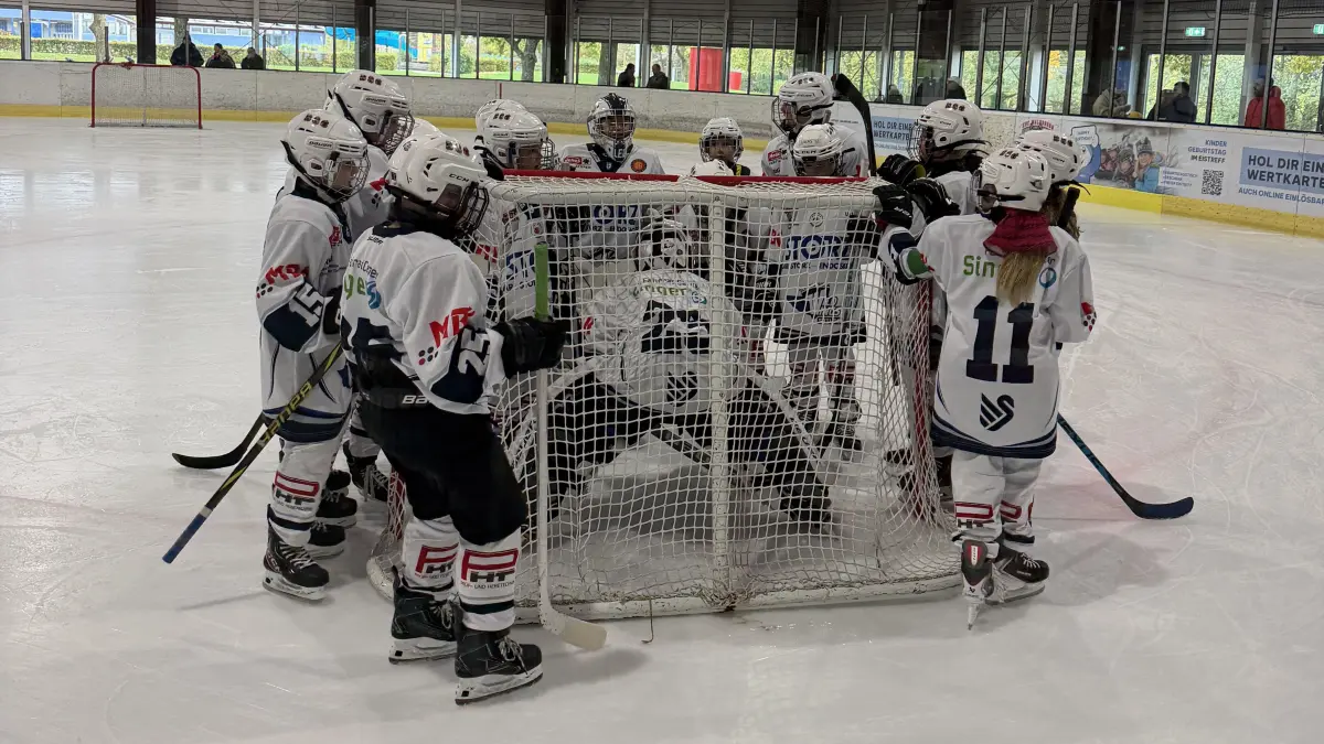Wild Wings U11