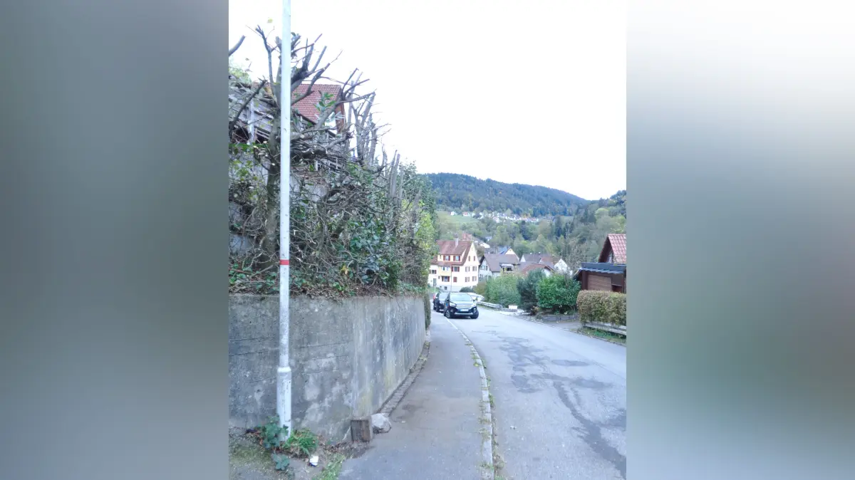 Freie Sicht und Fahrt herrscht nun wieder an der Hohenbergstraße.
