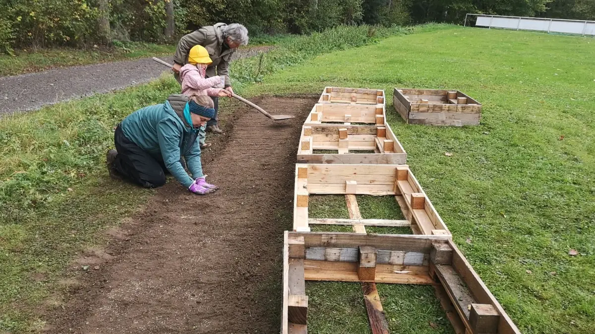 Anlage Blühwiese und Beete