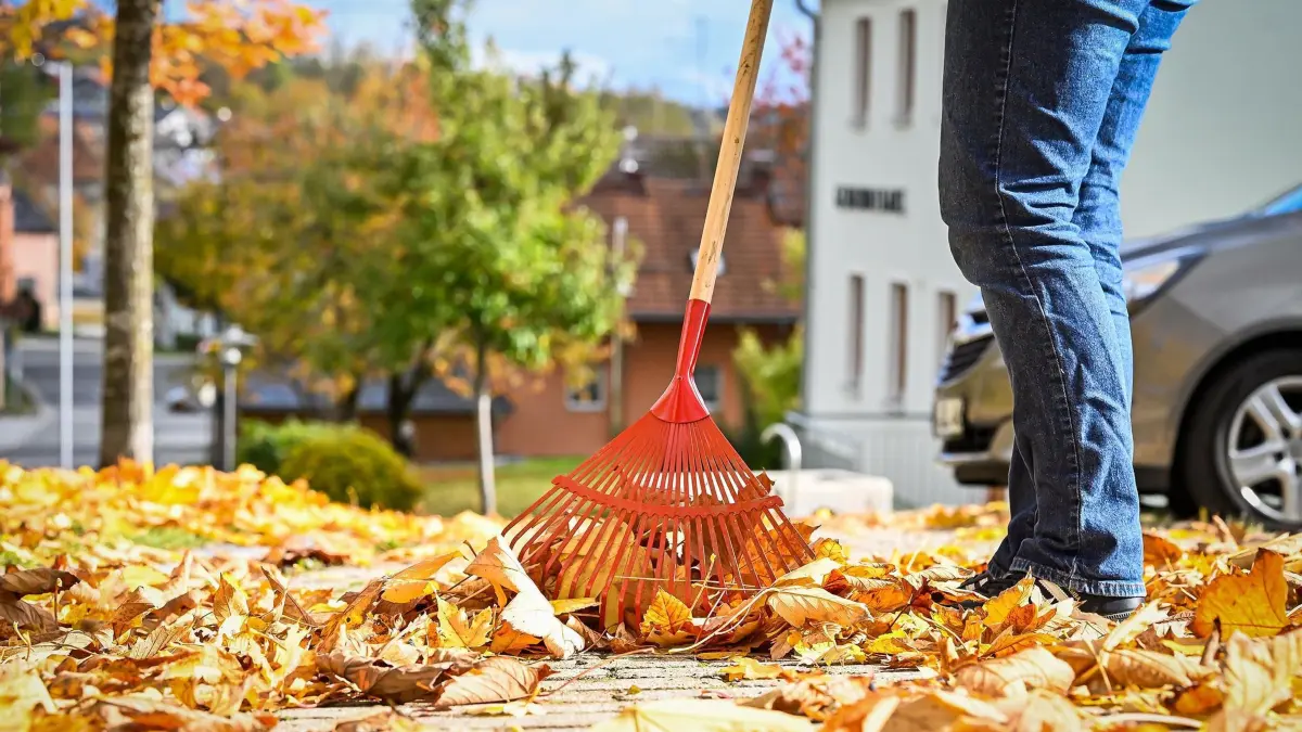 Nasses Herbstlaub bringt Passanten ins Rutschen: Wer haftet bei Unfällen? / Reinigungspflicht kann übertragen werden: So schön buntes Herbstlaub sein kann, nass wird es gefährlich. Daher: Laub räumen nicht vergessen. / Weiterer Text über ots und www.presseportal.de/nr/7239 / Die Verwendung dieses Bildes für redaktionelle Zwecke ist unter Beachtung aller mitgeteilten Nutzungsbedingungen zulässig und dann auch honorarfrei. Veröffentlichung ausschließlich mit Bildrechte-Hinweis.