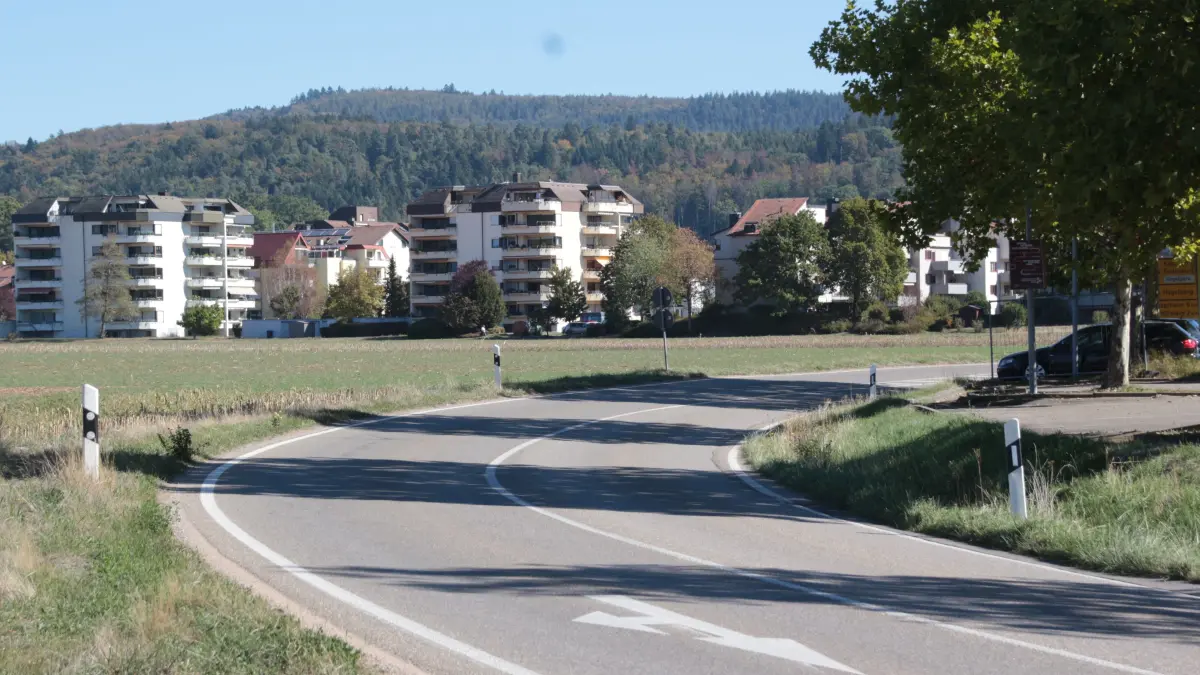 Die Gemeinde Steinen hofft seit Jahrzehnten auf die Verlegung der L 138 zwischen der Wiesentalgemeinde und dem Lörracher Stadtteil Hauingen.