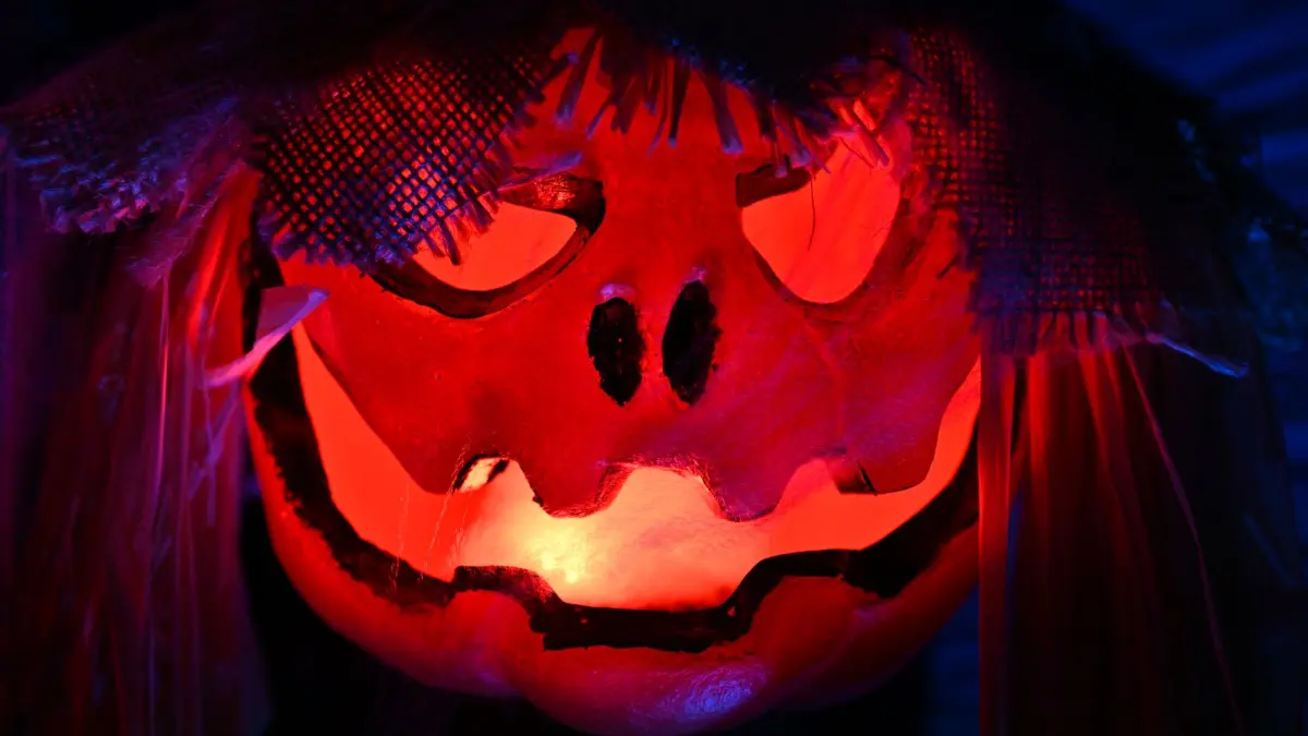 Halloween: ARCHIV - 21.10.2026, Thüringen, Hohenkirchen: Gruselige Dekoration leuchtet in einem Halloween-Garten. (zu dpa: «Gruselgarten bis Geisterparty - Halloween-Tipps für Sachsen») Foto: Martin Schutt/dpa +++ dpa-Bildfunk +++
