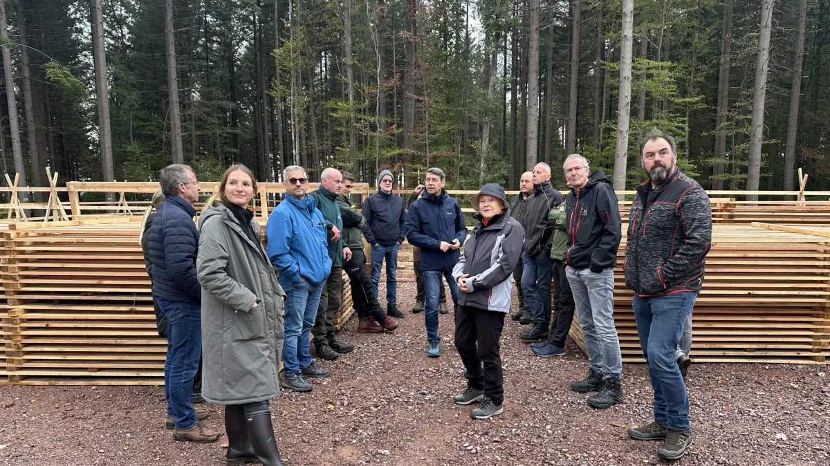Der Gemeinderat Ettenheim setzte sich bei der Begehung mit dem Stadtwald auseinander.